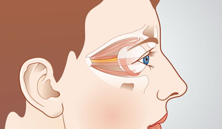 Augenhöhle Teaserbilder
