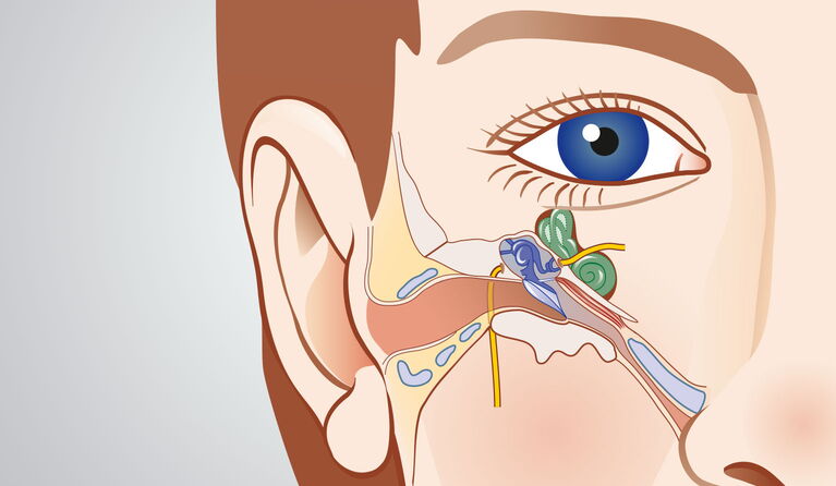 Spezielle Ohrchirurgie Teaserbild