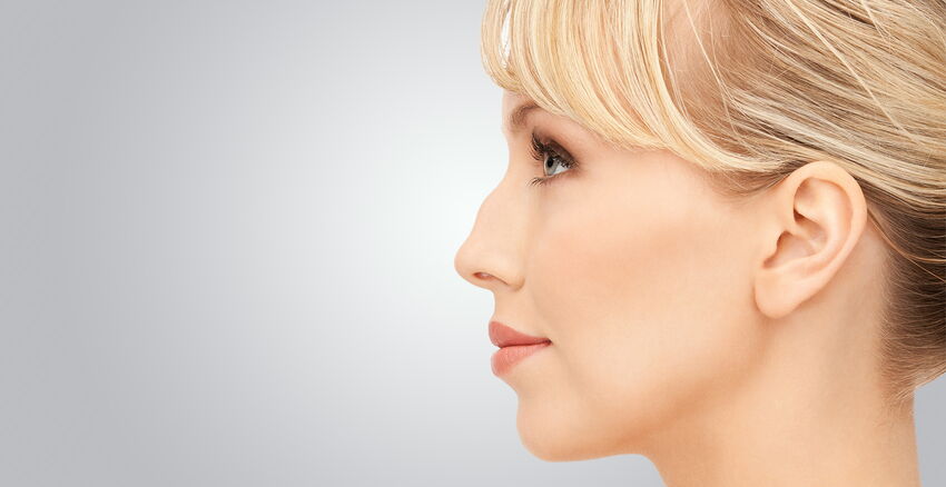 Beispielfoto für eine Höckernase oder Adlernase